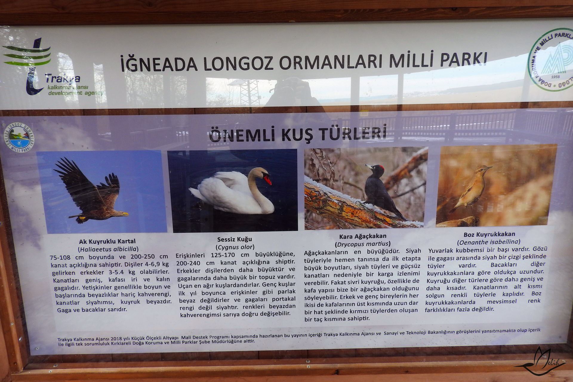 İğneada Longoz Ormanları