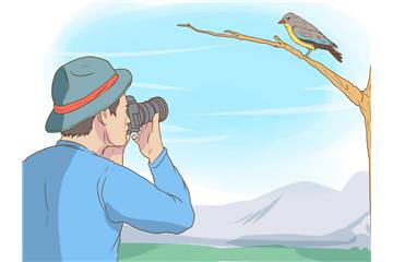Kuş Gözlemciliği